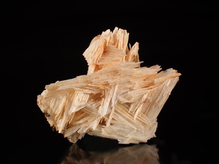 Cerussit kristall på matrisen - Höjd: 40 mm - Bredd: 30 mm- 7 g