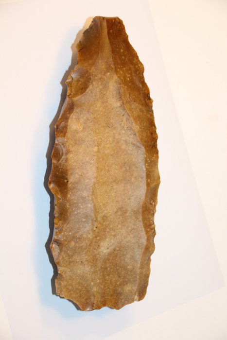 Neolitico Pietra Focaia Libro del burro - 240 mm  (Senza Prezzo di Riserva)