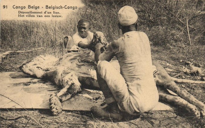 Belgian Kongo - Kaunis kokoelma puristettu sinetti, postimerkit jne. - kaupunki ja maaseutu - Postikortti (48) - 1910-1960