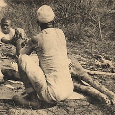 Belgisch Congo – Fraaie collectie met ingedrukt zegel, stempels etc-stad en platteland – Ansichtkaart (48) – 1910-1960