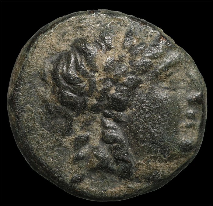 Seleucidin kuningaskunta. Antiochus I Soter (281-261 eaa.). Bronze  (Ei pohjahintaa)