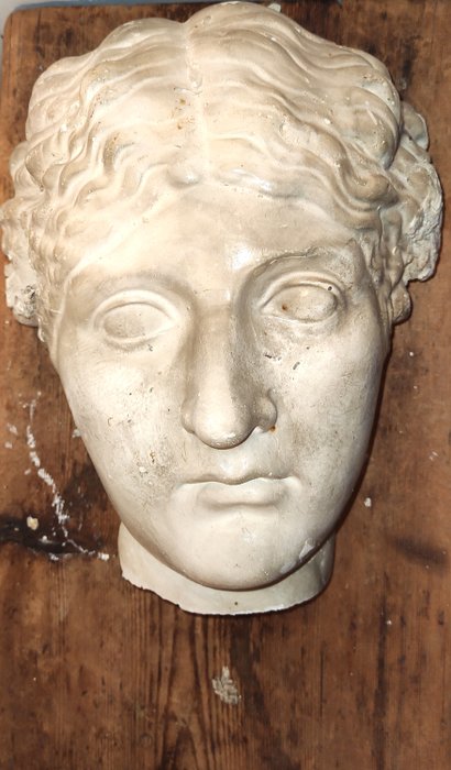 Skulptur, Volto della Dea Afrodite - 28 cm - Gips