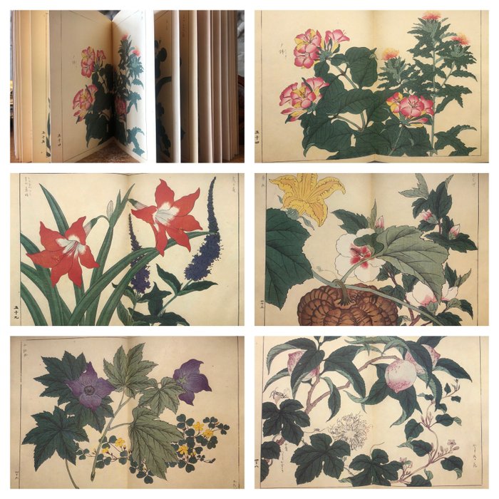 Sakai Hōitsu - 'Shiki no hana: Natsu no bu' (Flowers of the Four Seasons) - 1970