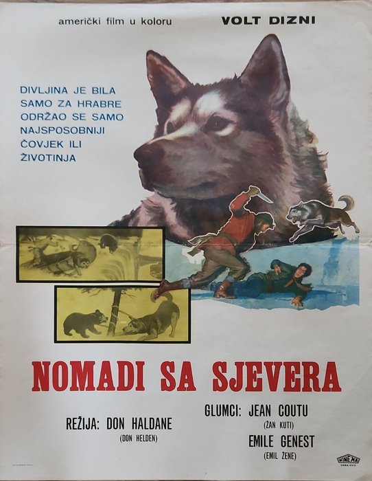  - 海报 Nikki, Wild Dog of the North 1961 Walt Disney original movie poster