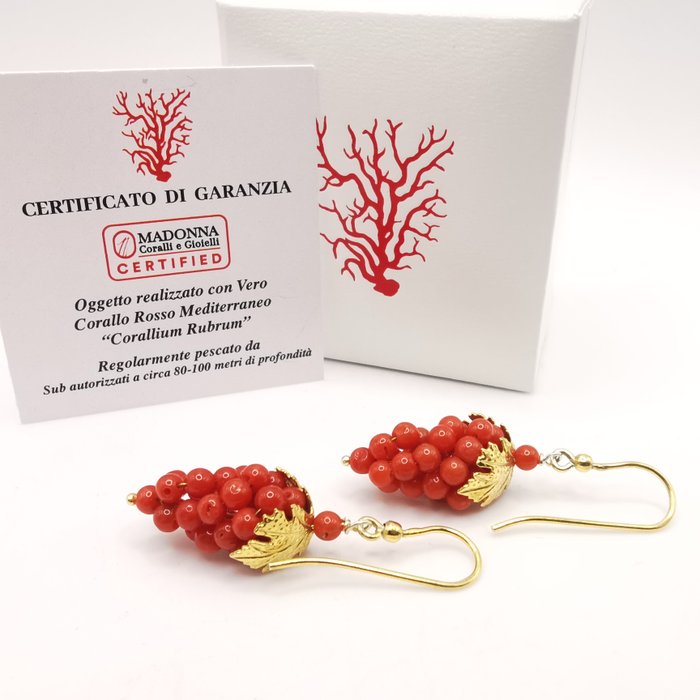 Corallo rosso Corallo - Corallium rubrum  (Senza Prezzo di Riserva)