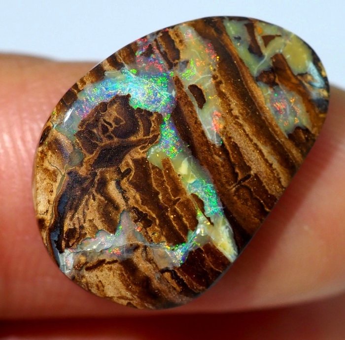 Koroit Boulder Opal Καμπουσόν - Ύψος: 19 mm - Πλάτος: 14 mm- 1.9 g - (1)