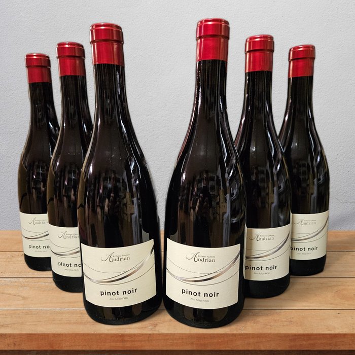 2023 Andrian, Pinot Noir - Alto Adige DOC - 6 Bottles (0.75L)
