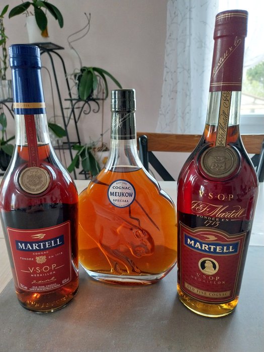 Martell, Meukow - VSOP Médaillon + Spécial  - b. Lata 2000â€“2009, Lata 2010–2019, Lata 90. - 70cl - 3 buteleki