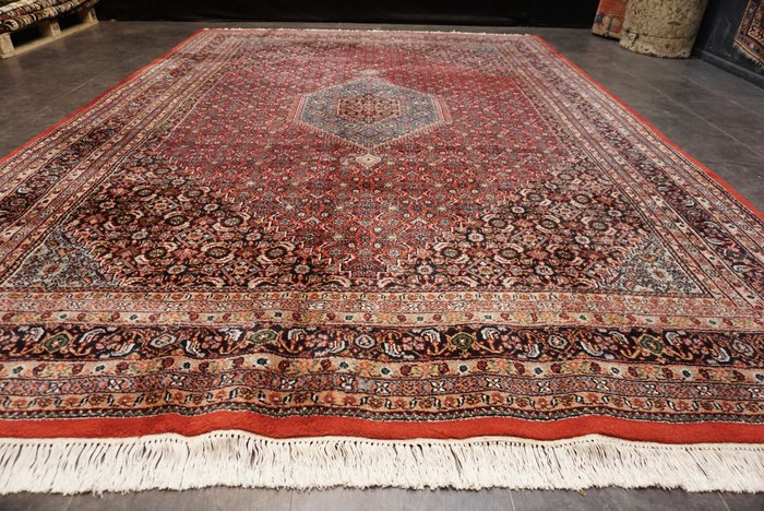 Bidjar - Carpete - 343 cm - 243 cm