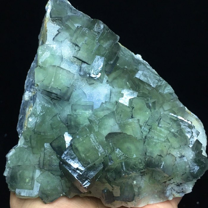 Zöld fluorit kristályok - Magasság: 145 mm - Szélesség: 121 mm- 1110 g