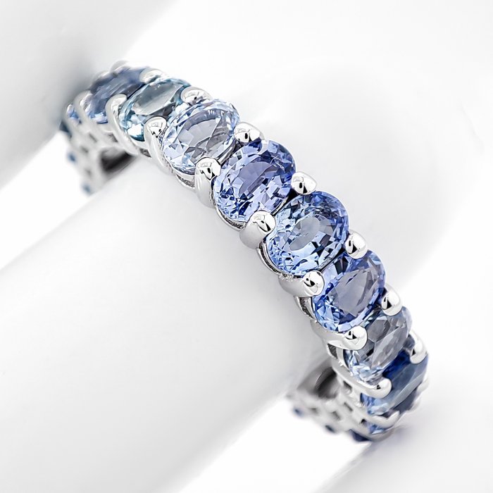 没有保留价 - 4.88 Carat Natural Sapphire Eternity - 戒指 - 14K包金 白金 