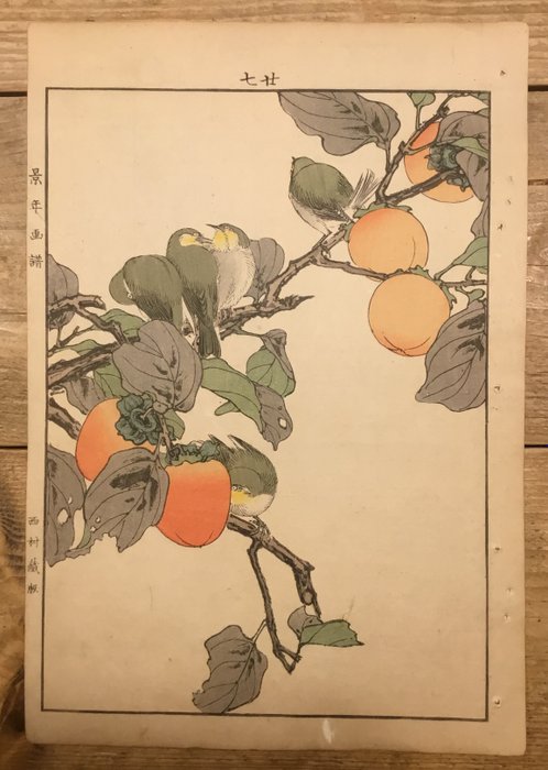 Een vijftal zangbrilvogeltjes in een kakiboom - Uit de serie "Keinen kacho gafu" 景年花鳥画譜 - Imao Keinen (1845-1924) - Japão -  Período Meiji (1868 - 1912)