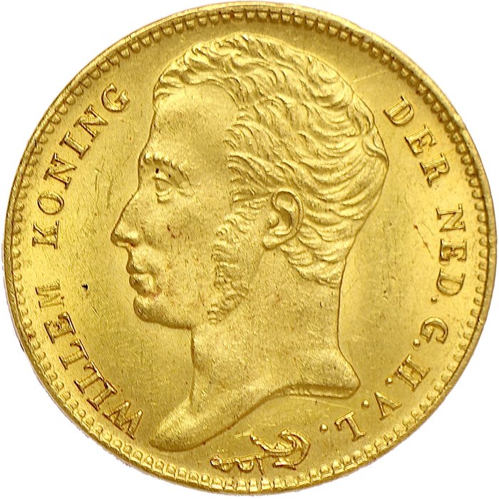 荷兰. Willem I (1813-1840). 10 Gulden 1825 - mm. B - Brussels