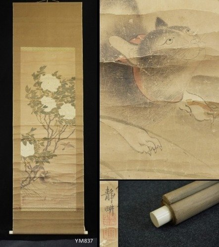 Cat viewing spparow - Meiji Period - Seiko 静畊 - Japão - Período Meiji (1868 - 1912)  (Sem preço de reserva)