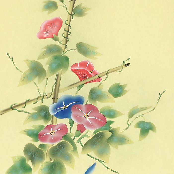 Two Colored Morning Glory - with signature and seal 'Asami' 朝美 - Japonia  (Bez ceny minimalnej
)