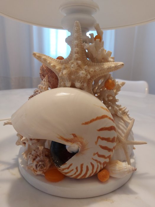 鹦鹉螺 海贝 - Nautilius, conchiglie naturali varie , stelle marine, pezzi di coralli bianchi