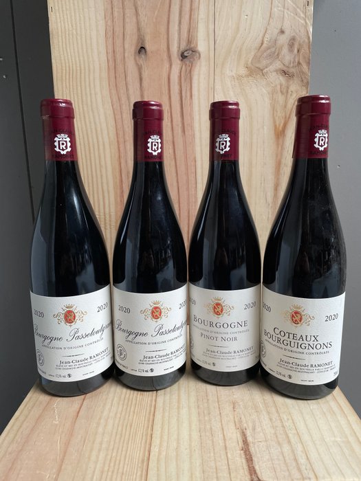 2020 Domaine Ramonet x 2 Bourgogne Passe-tout-grains Bourgogne Pinot Noir & Coteaux Bourguignons - Bourgogne - 4 Flasker (0,75 L)