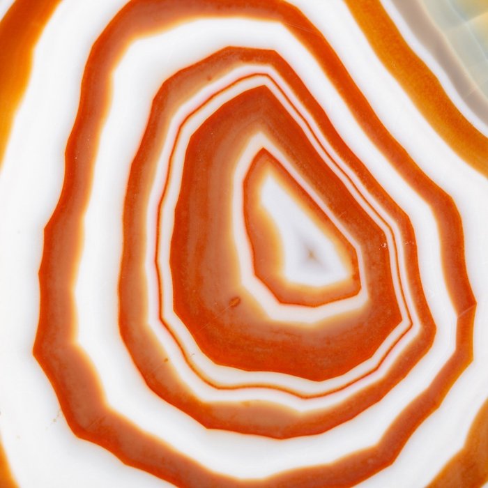 Incredible Natural Red Agate Stripped Slice - Optical Extremely rare on the market - White Banded - Mounted on a Wooden Base and Satiny Steel Elements - Height: 250 mm - Width: 171 mm- 556 g