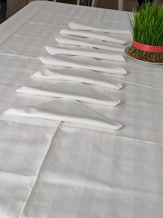 大桌布，附 8 張餐巾 - 桌布 (9)  - 360 cm - 137 cm