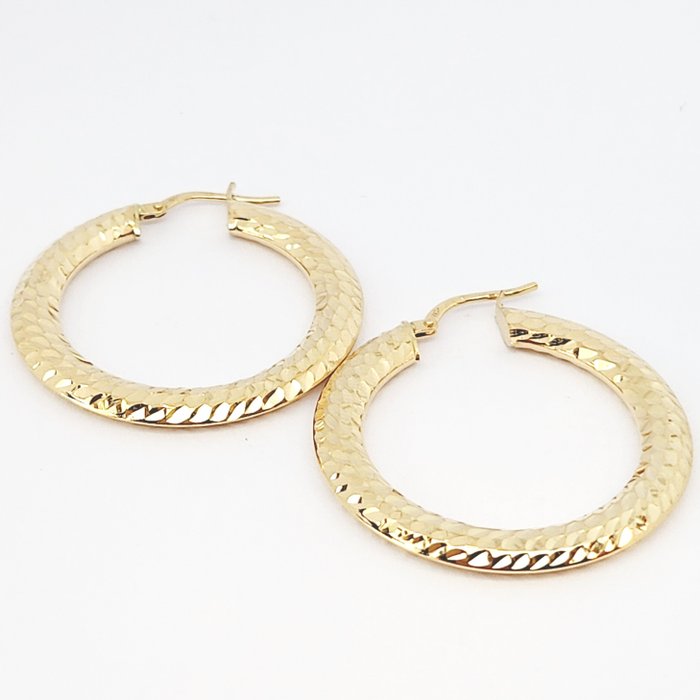 Earrings - 18 kt. Yellow gold