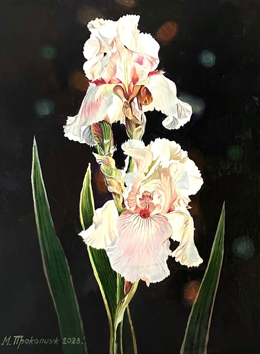 Marin Prokopchuk (XX) - White irises