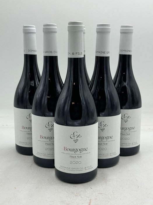2020 Bourgogne Pinot Noir - Domaine Gros & Fils - Bourgogne - 6 Bouteilles (0,75 L)