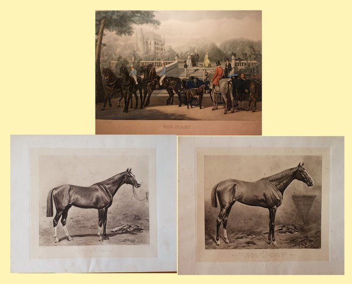 主题收藏系列 - 马匹和马术场景石版画 - 19 世纪 - 英国和德国