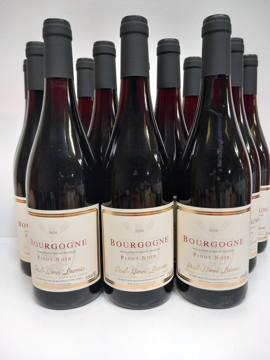 2020 Domaine de la Tassé d'Or Bourgogne Pinot Noir - Burgundy - 12 Bottles (0.75L)