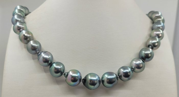 Halskette 11x13mm Regenbogen-Pfau-Tahiti-Perlen 