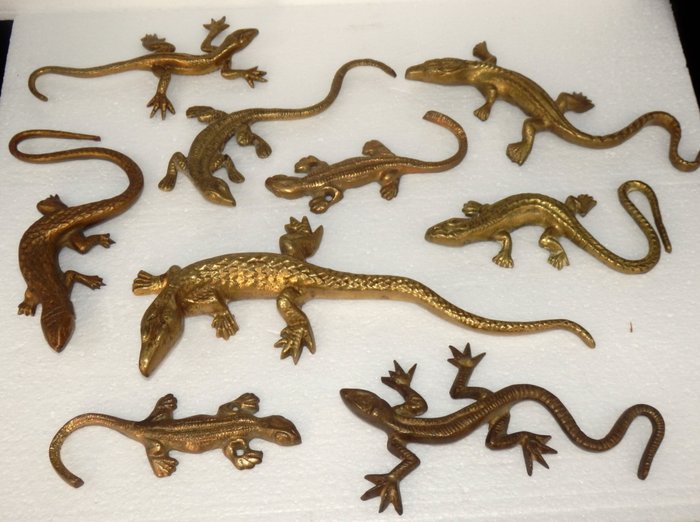 Salamanders - Figurine - Verzameling van 9 verschillende messing Salamanders (9) - Messing