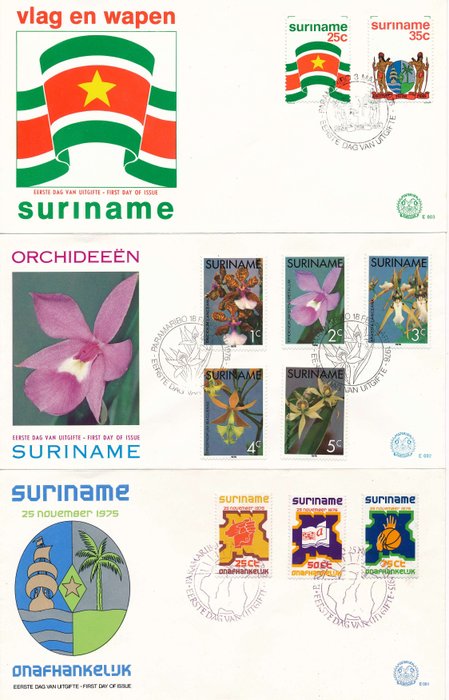 Suriname 2020 - Suriname - Zonnebloem