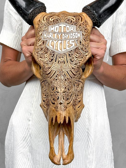 无底价 - 手工雕刻棕色牛头骨 - 摩托车图案 - 雕刻的颅骨 - Bos Taurus - 56 cm - 35 cm - 14 cm- 非《濒危物种公约》物种 -  (1)
