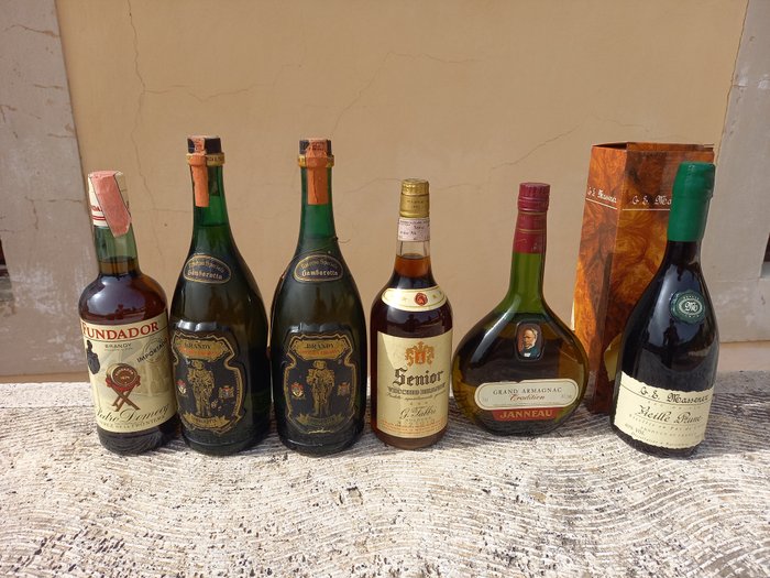 Brandy Fundador + Gambarotta x 2 + Fabbri Senior + Janneau Tradition + Massenez Vieille Prune  - b. 1960er-1980er Jahre - 1,0 l, 70 cl, 75 cl - 6 flaschen