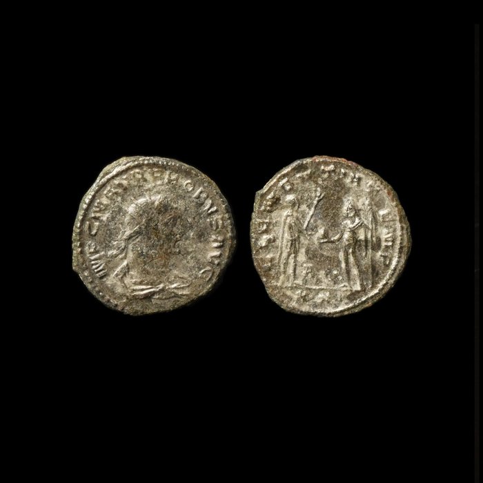 古罗马 历史古罗马钱币——普罗布斯皇帝“和平时代”  (没有保留价)