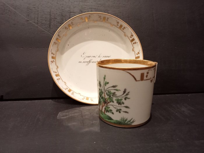 Imperial Vienna porcelain - Tasse und Untertasse - Porzellan