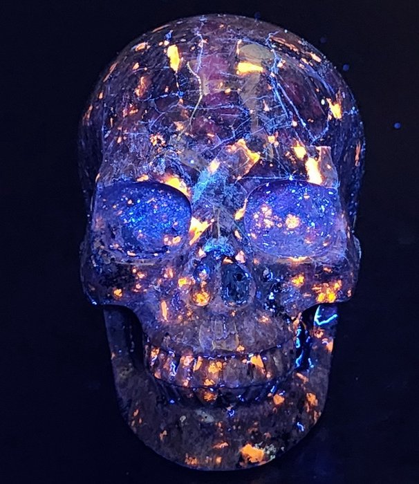 1,35 kg 12,10 cm Verdens sjældenhed Yooperlit Skull gylden UV Glødende Rock flamme sten HOMO SAPIENS - Magisk ild Kraniet ekstremt dekorativt moderne kunstobjekt kranieudskæring - verdens- 1.35 kg