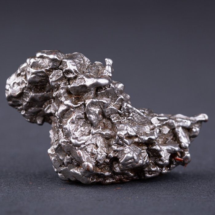 坎波德爾切洛隕石。 小行星的核心 - 高度: 55 mm - 闊度: 33.5 mm - 89 g