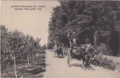 Frankreich - Städte und Landschaften - Postkarte (80) - 1900-1940