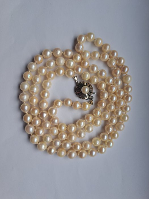Ohne Mindestpreis - Perlenkette - 8 kt Weißgold Perle 