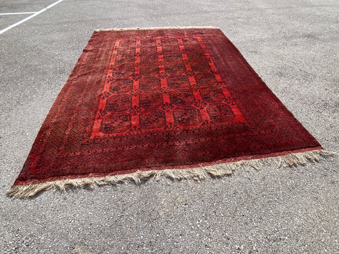 阿富汗艾爾薩裡 - 地毯 - 340 cm - 273 cm