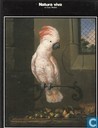 Natura viva in Casa Medici